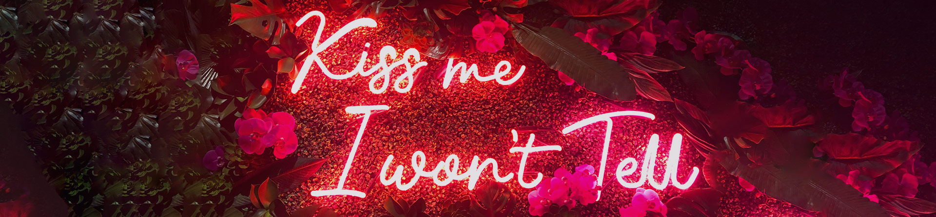 About NeonChamp About NeonChamp